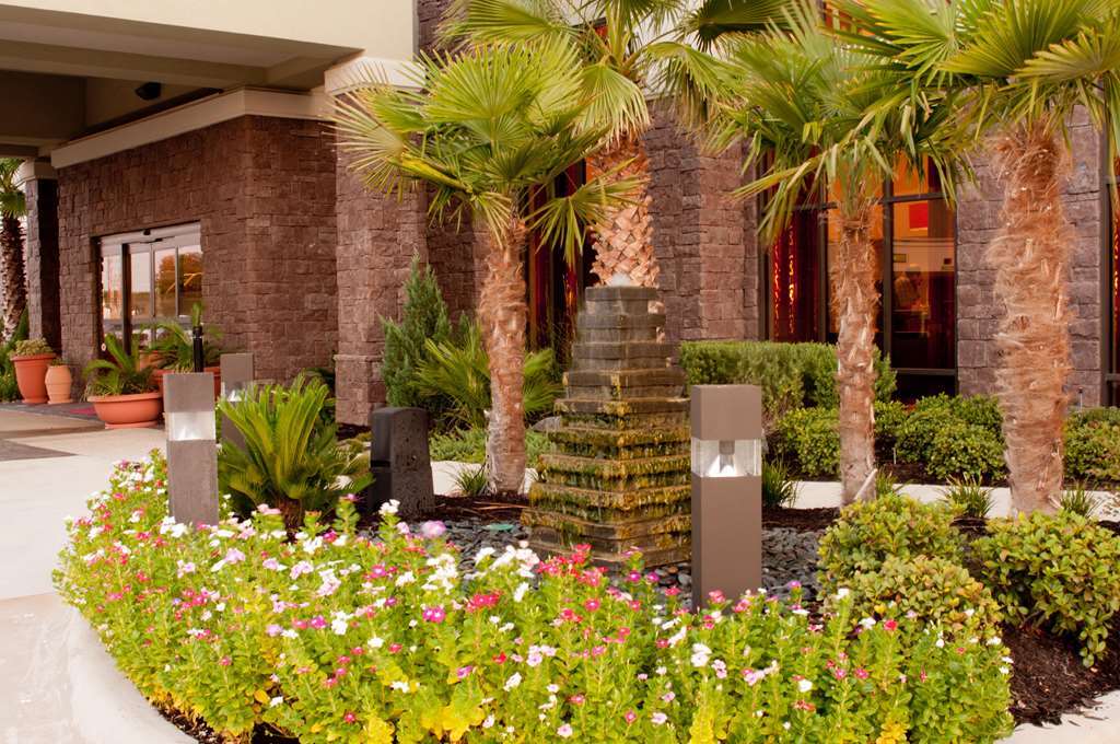 Hampton Inn & Suites Shreveport Dış mekan fotoğraf
